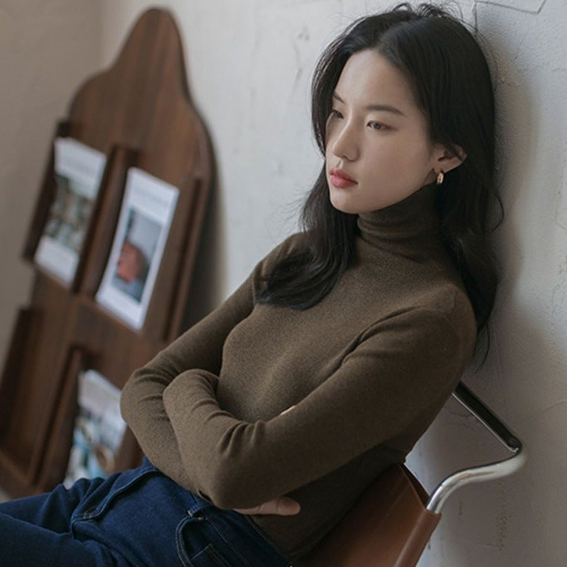 Fitted turtleneck sweater, various colors