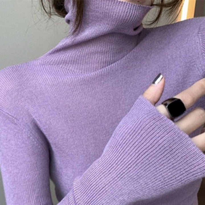 Fitted turtleneck sweater, various colors