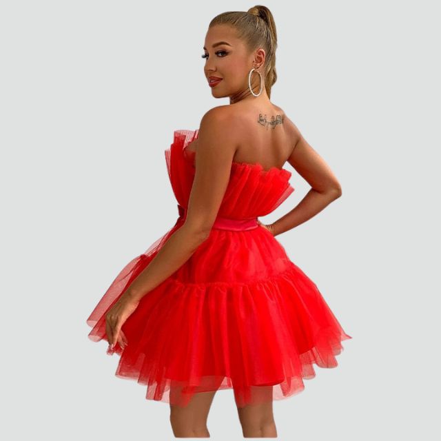 Mune | Fitted dress in tulle with layered skirt