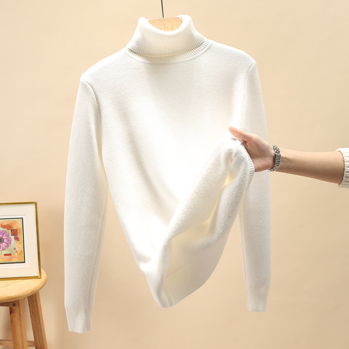 Men's turtleneck sweater, lined, warm