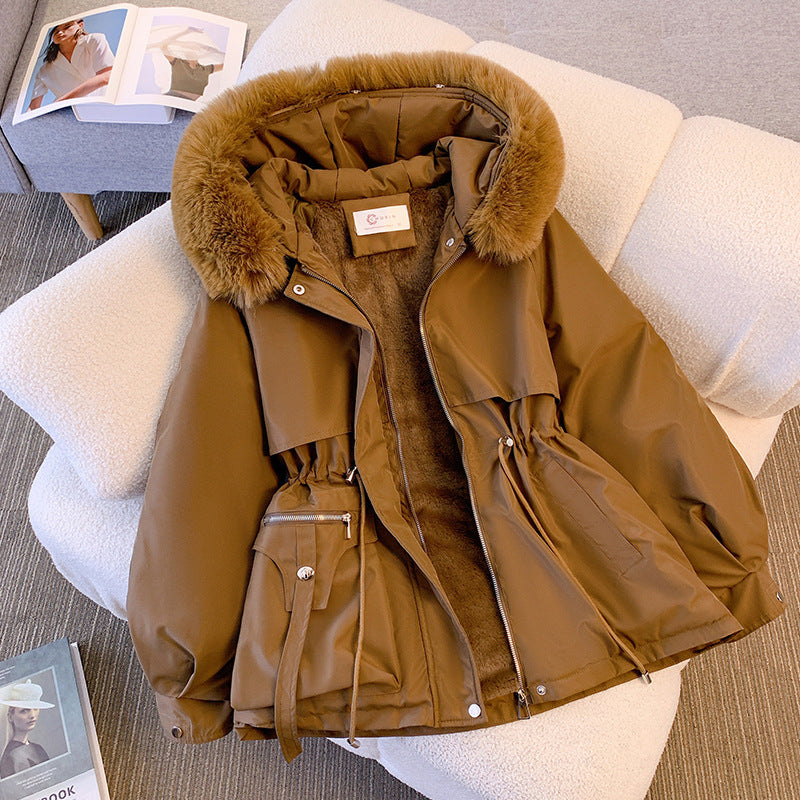 Ladies' winter jacket, tailored, insulated, short