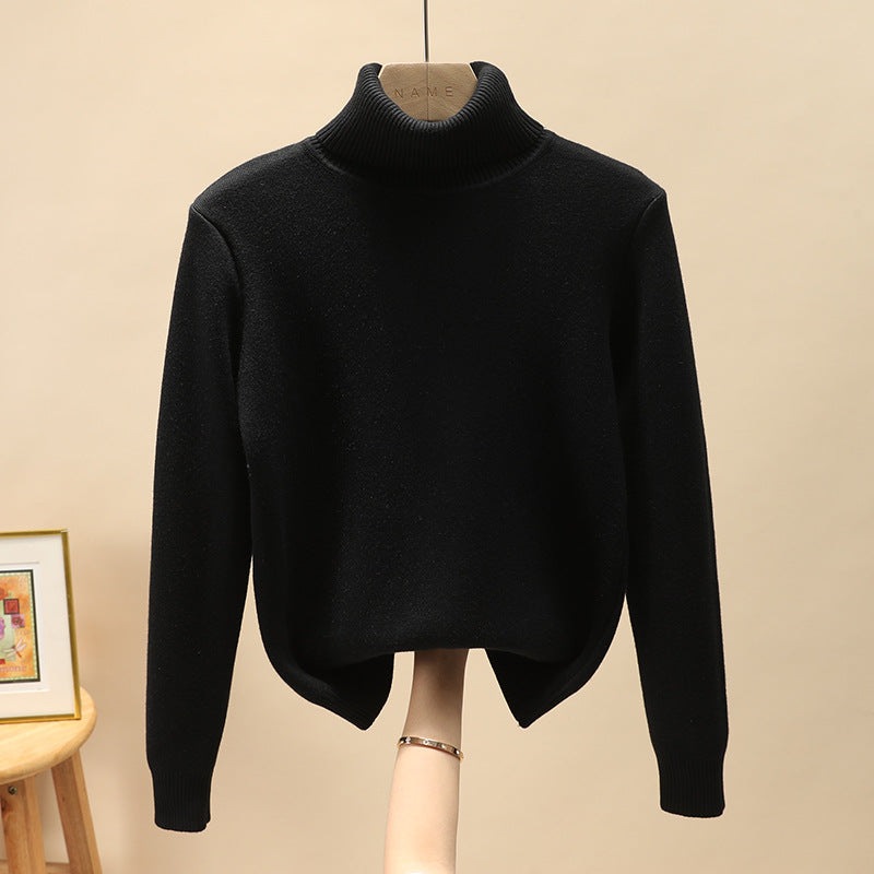 Men's turtleneck sweater, lined, warm
