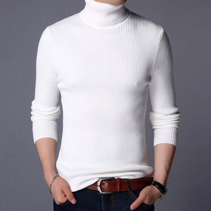 Men's turtleneck sweater, fitted
