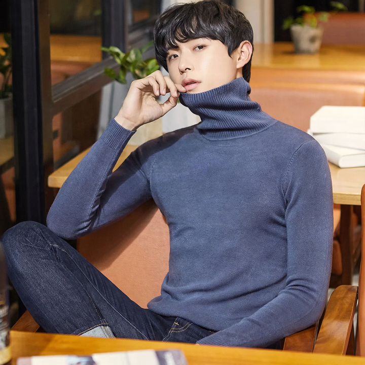 Men's turtleneck sweater, lined, warm