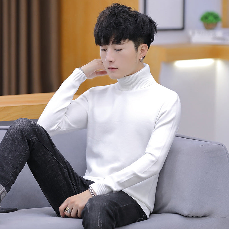 Men's turtleneck sweater, slim fit, solid color