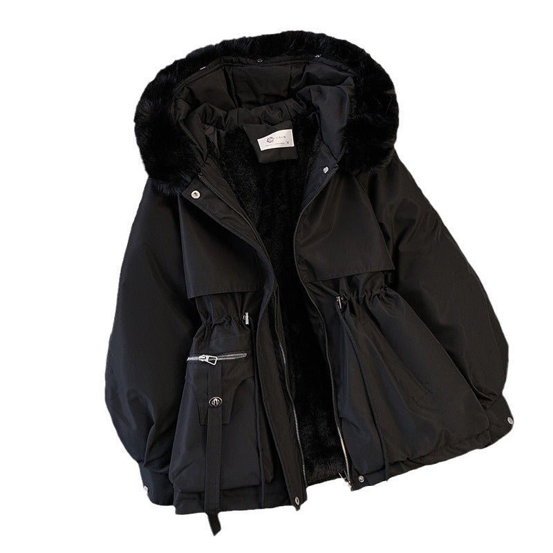 Ladies' winter jacket, tailored, insulated, short
