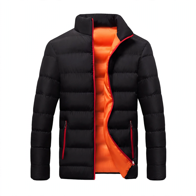 Men's quilted jacket, stand-up collar, padded, for leisure