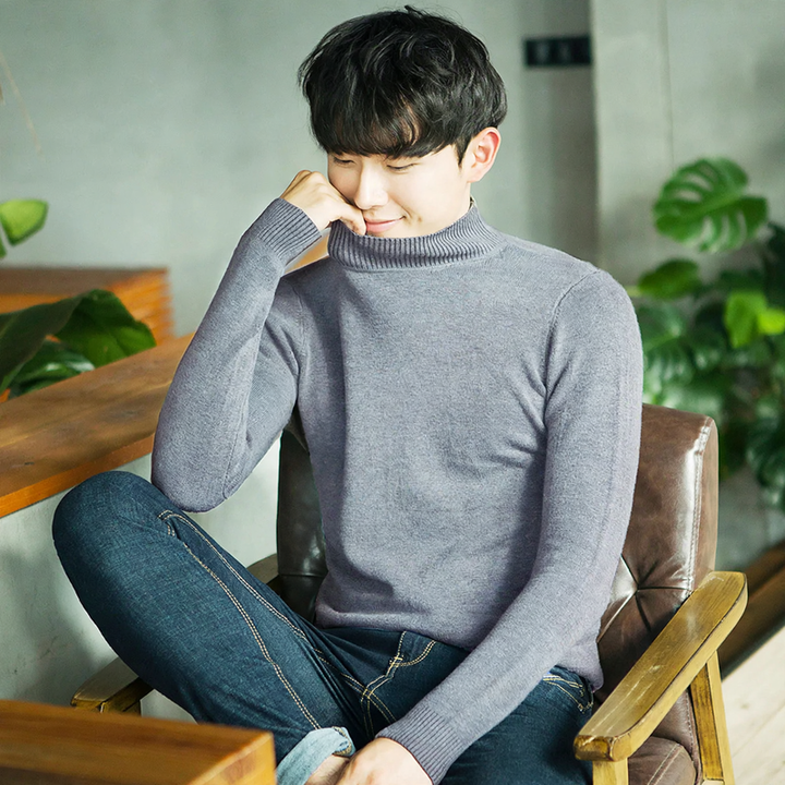 Men's turtleneck sweater, lined, warm