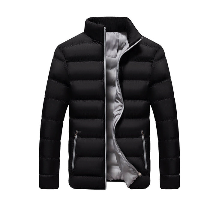 Men's quilted jacket, stand-up collar, padded, for leisure