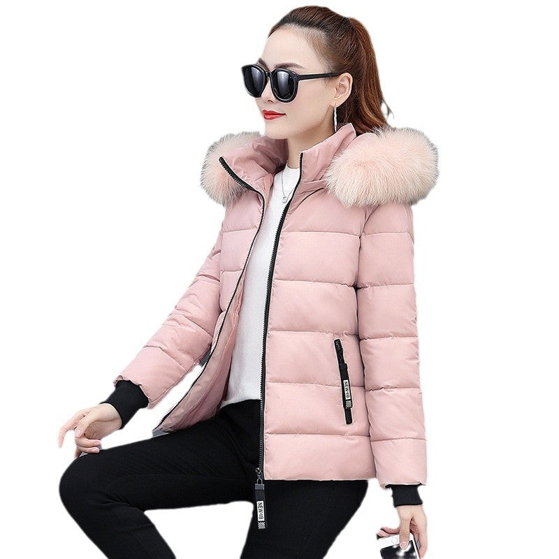 Women's winter jacket, short, tailored