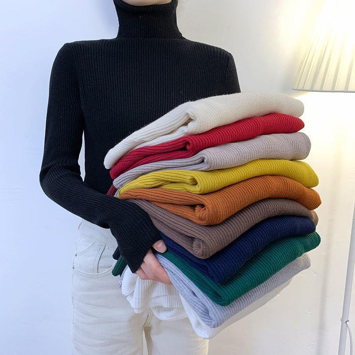 Women's turtleneck sweater, long-sleeved, plus sizes