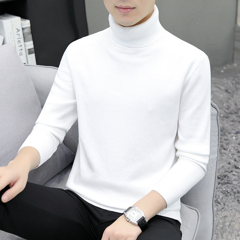 Men's turtleneck sweater, long-sleeved, slim fit