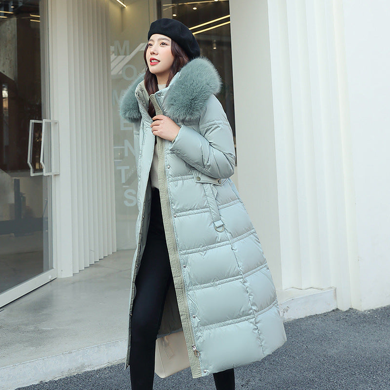 Long women's winter coat, tailored, with belt and fur collar
