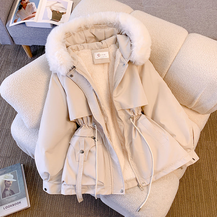 Ladies' winter jacket, tailored, insulated, short