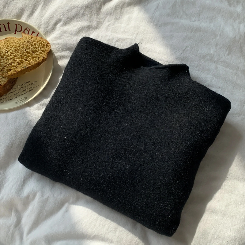 Simple women's pullover with stand-up collar, lined