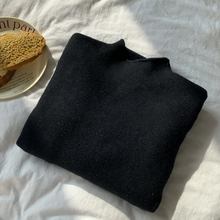 Simple women's pullover with stand-up collar, lined