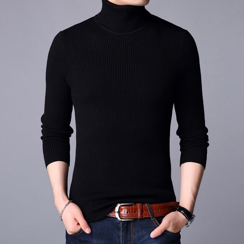 Men's turtleneck sweater, fitted
