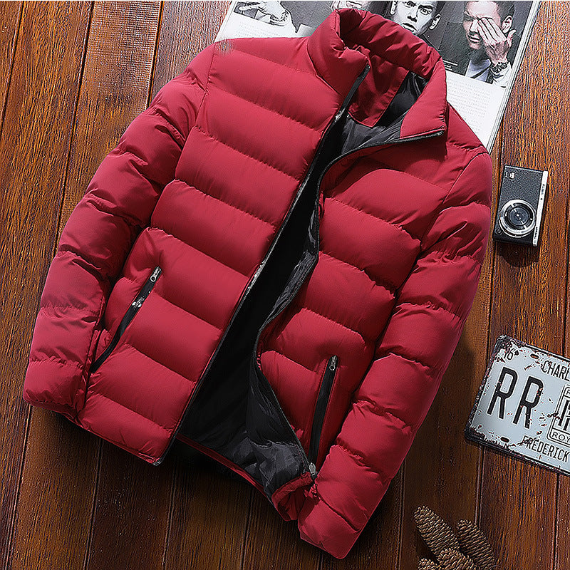 Men's quilted jacket, stand-up collar, insulated, for outdoor
