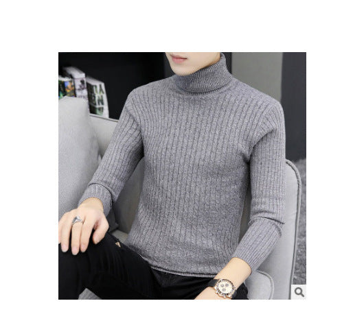Men's knitted sweater with roll neck and cable pattern