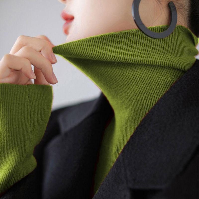 Fitted turtleneck sweater, various colors