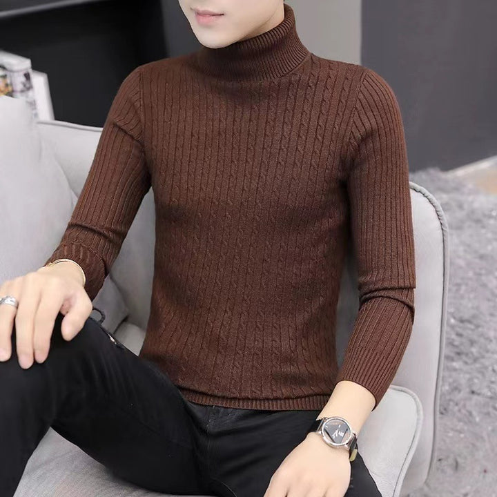 Men's knitted sweater with roll neck and cable pattern