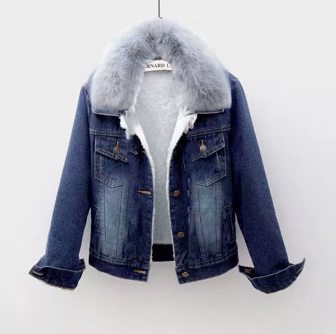 Padded women's jeans jacket with fur collar, short