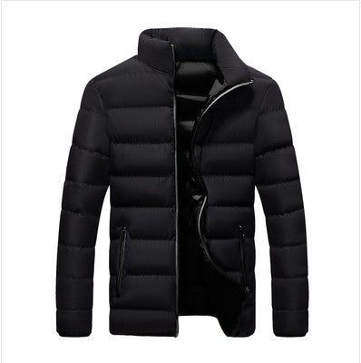 Men's quilted jacket, stand-up collar, padded, for leisure
