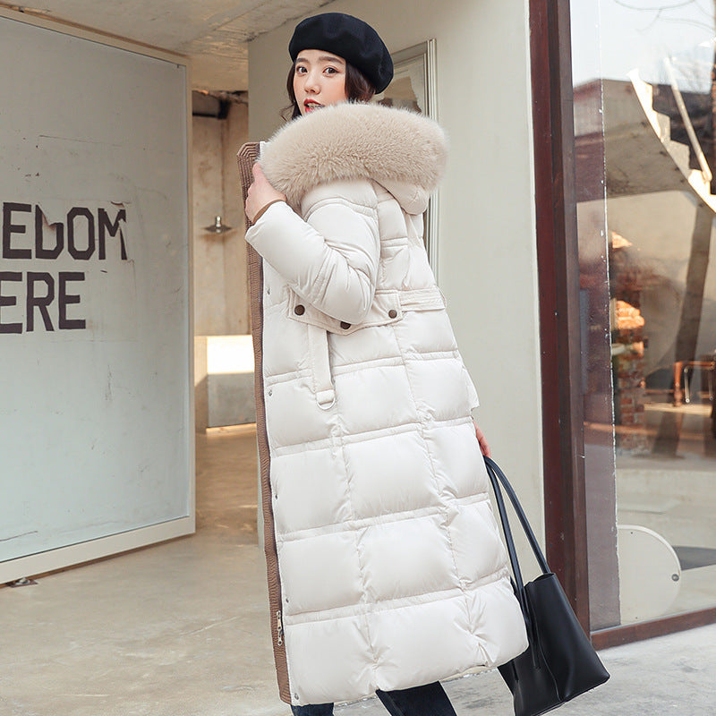 Long women's winter coat, tailored, with belt and fur collar