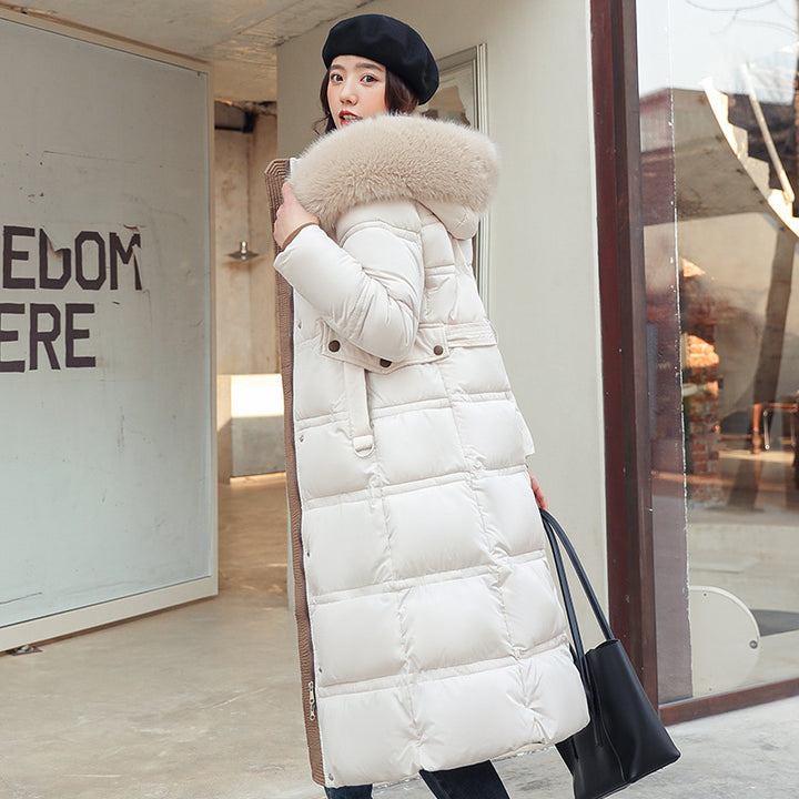 Long women's winter coat, tailored, with belt and fur collar