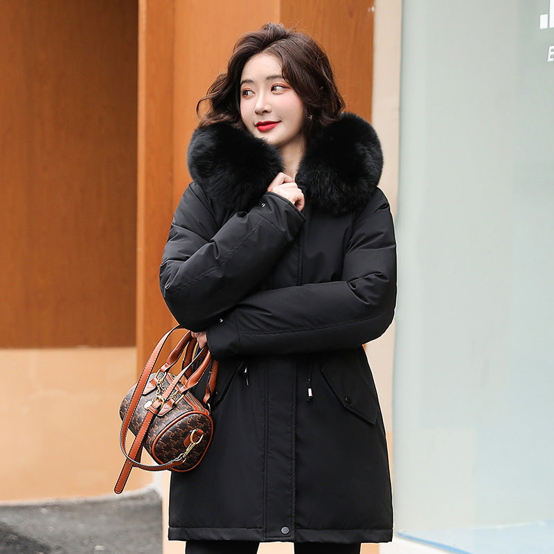 Women's parka, mid-length, padded, faux fur collar