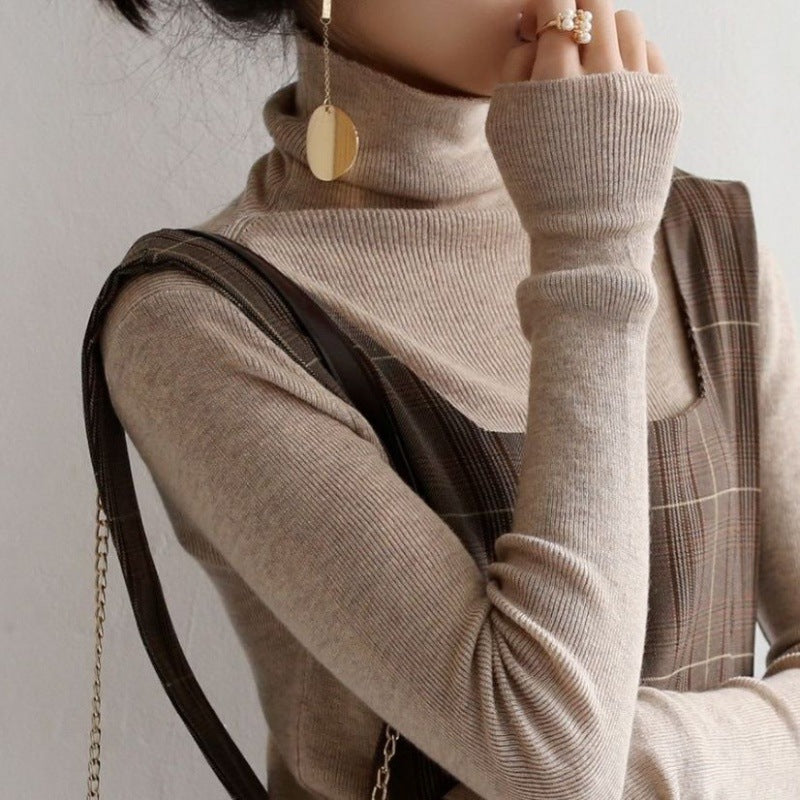 Fitted turtleneck sweater, various colors