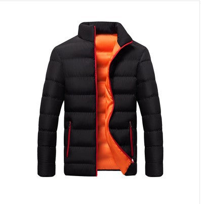 Men's quilted jacket, stand-up collar, padded, for leisure