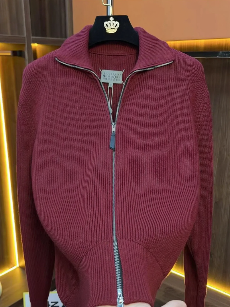 Men's cardigan with stand-up collar and double zipper