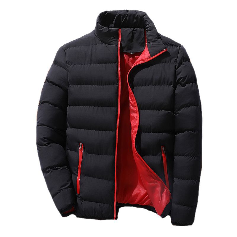 Men's quilted jacket, stand-up collar, insulated, for outdoor