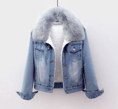 Padded women's jeans jacket with fur collar, short