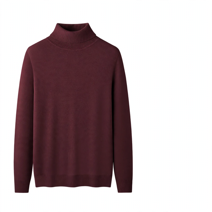Men's turtleneck sweater, lined, modal blend, 350g
