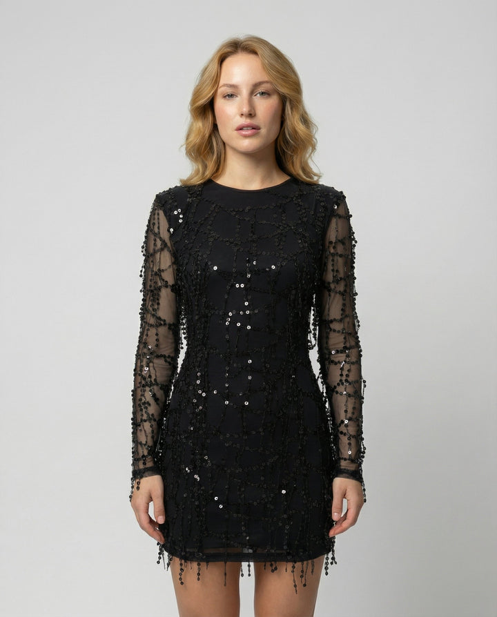 Elegant Fringe Sequin Dress Women | Mune Fashion