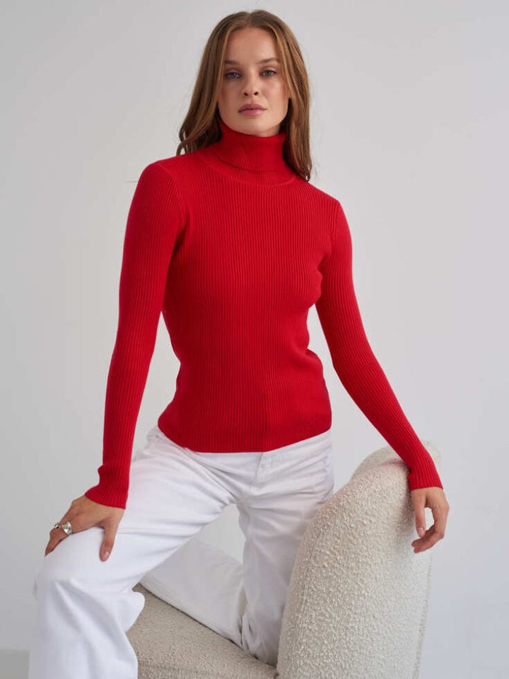 Women's Figure-Hugging Ribbed Roll Neck Sweater Mune Fashion