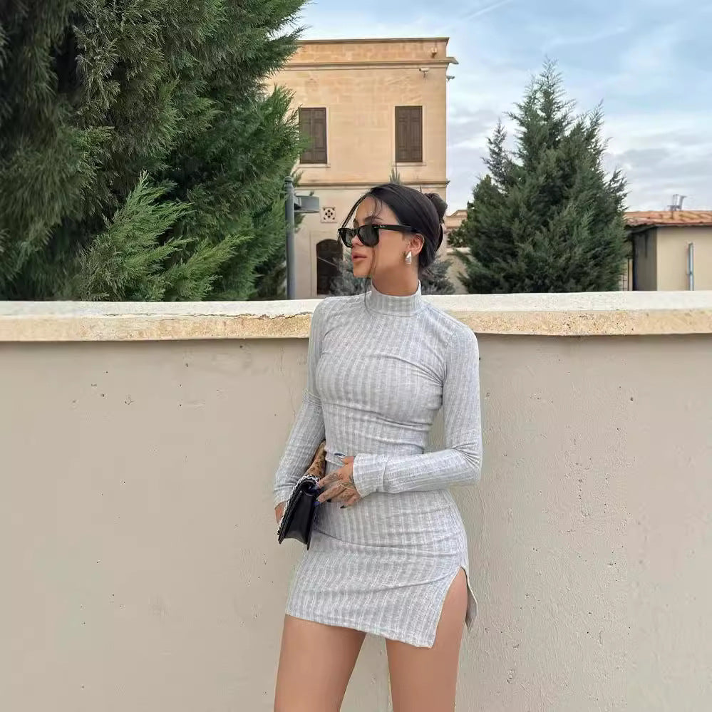 Women's Slim-Fitting Ribbed Knit Mini Dress with Turtleneck and Long Sleeves Mune Fashion