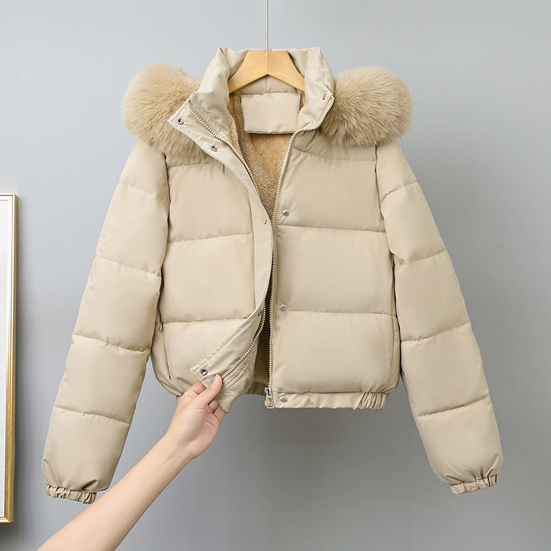 Women's short cut thermo bomber jacket with voluminous hood trim and elastic hem Mune Fashion