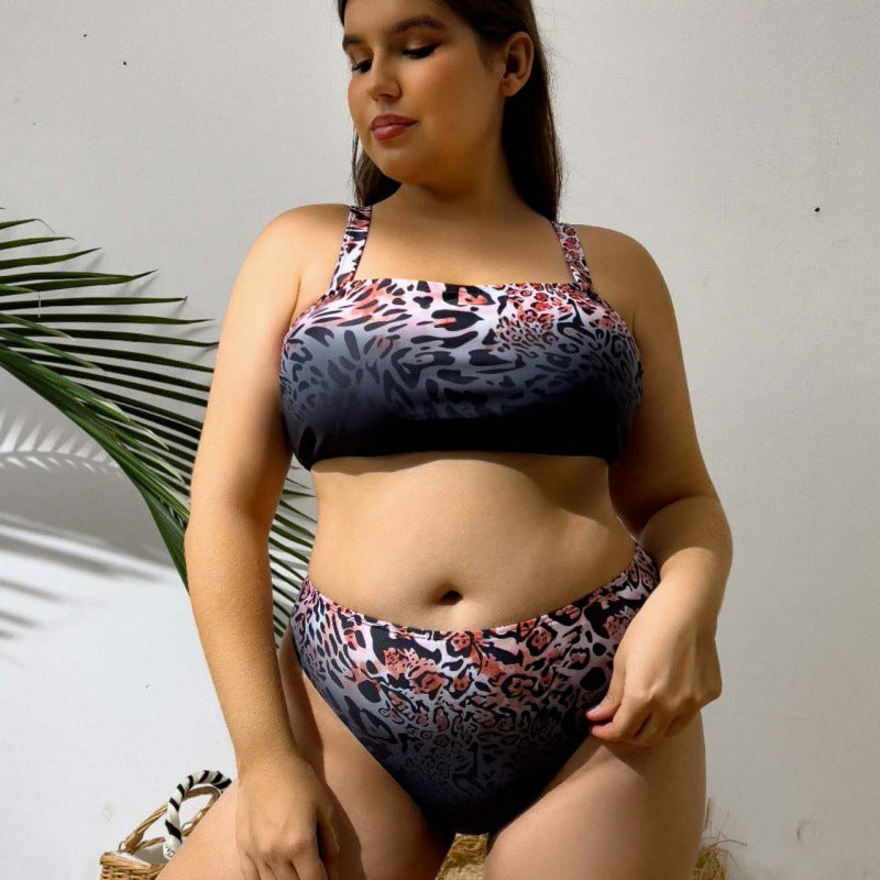 Ladies Bikini Set with Transparent Beach Jacket Mune Fashion