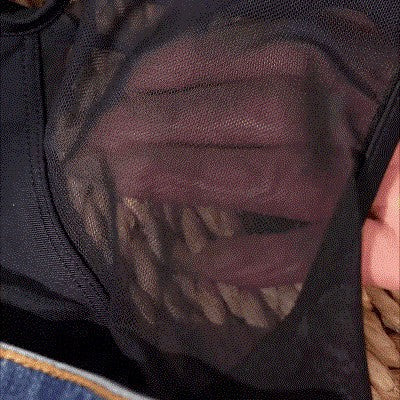 Ladies Highly Developed Cut-Out Swimsuit Mune Fashion