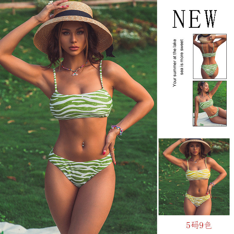 Women's Two-Piece Bikini with Trendy Zebra Design Mune Fashion