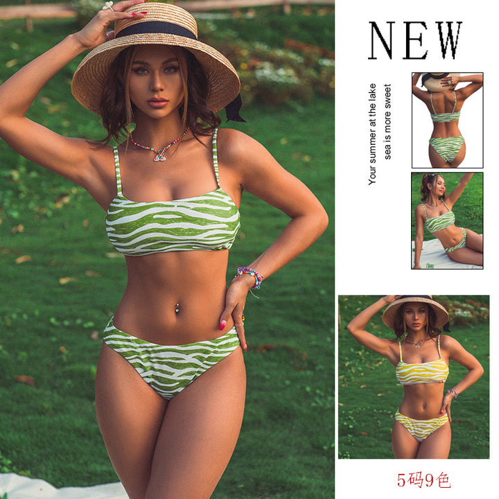 Women's Two-Piece Bikini with Trendy Zebra Design Mune Fashion