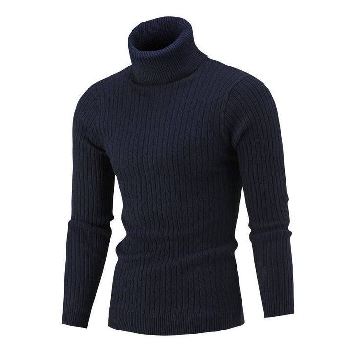 Men's Tailored Thermal Roll Neck Sweater with Cable and Rib Knit Structure Mune Fashion