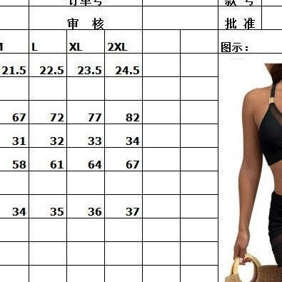 Women's Two-Piece Sport Bikini Set with Transparent Overlay Skirt Mune Fashion