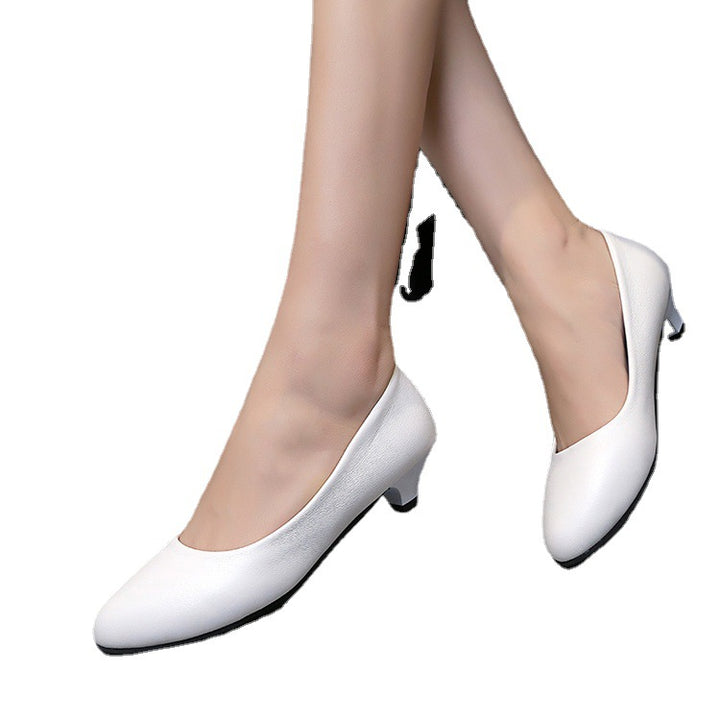 Women's pointed tapered business pumps with low conical heel and cushioned comfort insole Mune Fashion