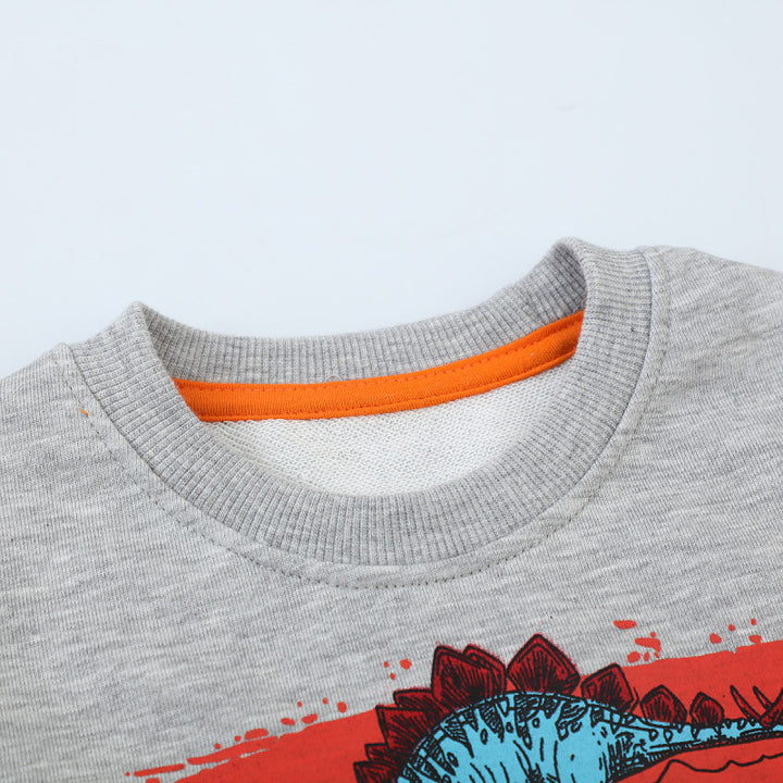 Boys sweatshirt with vibrant dinosaur motif Mune Fashion