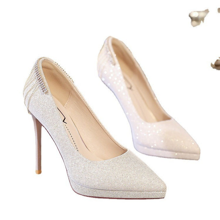 Women's elegant evening pumps with fine glitter mesh, pointed toe, delicate stiletto heel, and decorative heel application Mune Fashion