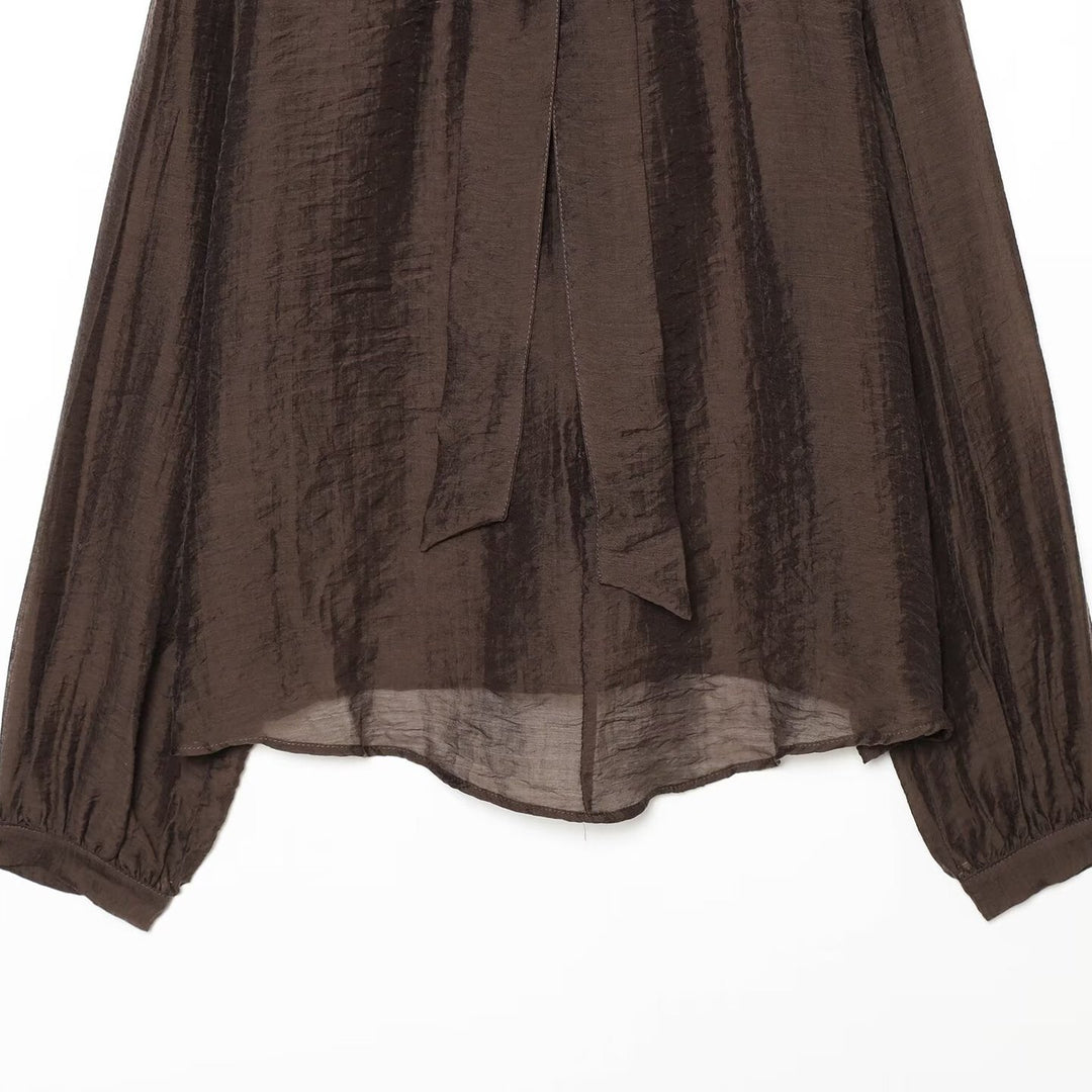 Women's Transparent Chiffon Blouse with Bow Collar, Voluminous Sleeves and Floral Brooch